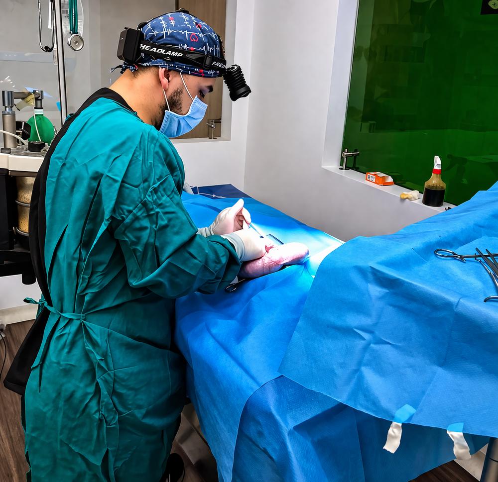 Quirófano veterinario